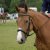LES CHEVAUX DE PROPRIETAIRES
