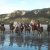 LE LOIR A LA PLAGE