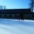 LES CHEVAUX DANS LA NEIGE