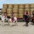 LES CAVALIERS DE L'ELEVAGE DU LOIR