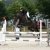 LES CHEVAUX DE PROPRIETAIRES