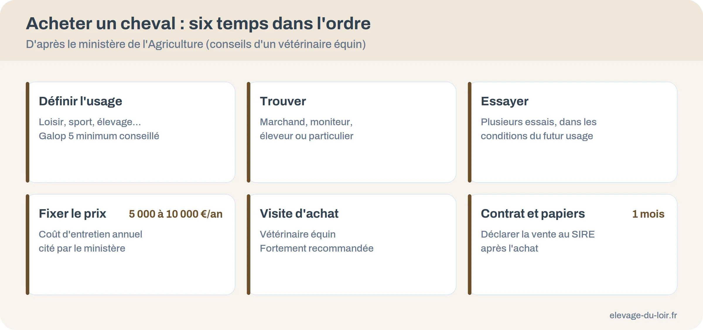 Les six temps d'un achat de cheval : usage, recherche, essais, prix, visite d'achat, contrat et papiers