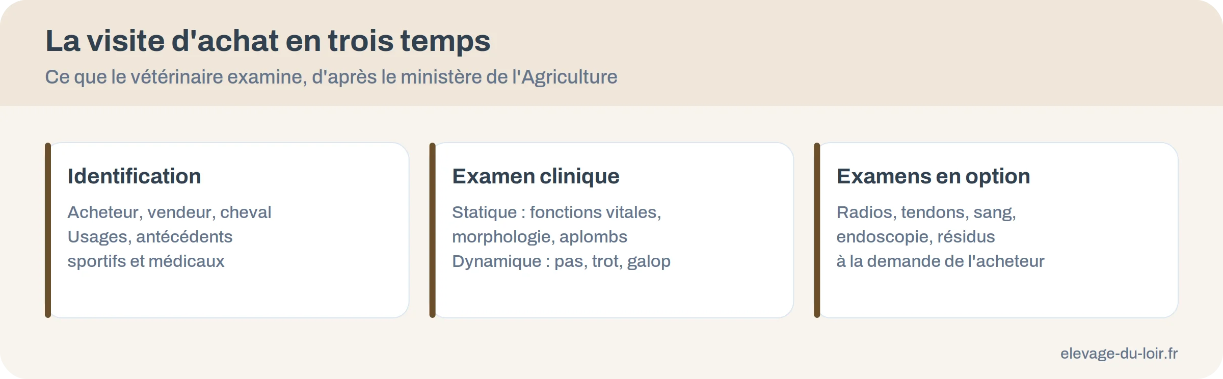 La visite d'achat d'un cheval en trois temps : identification, examen clinique, examens complémentaires