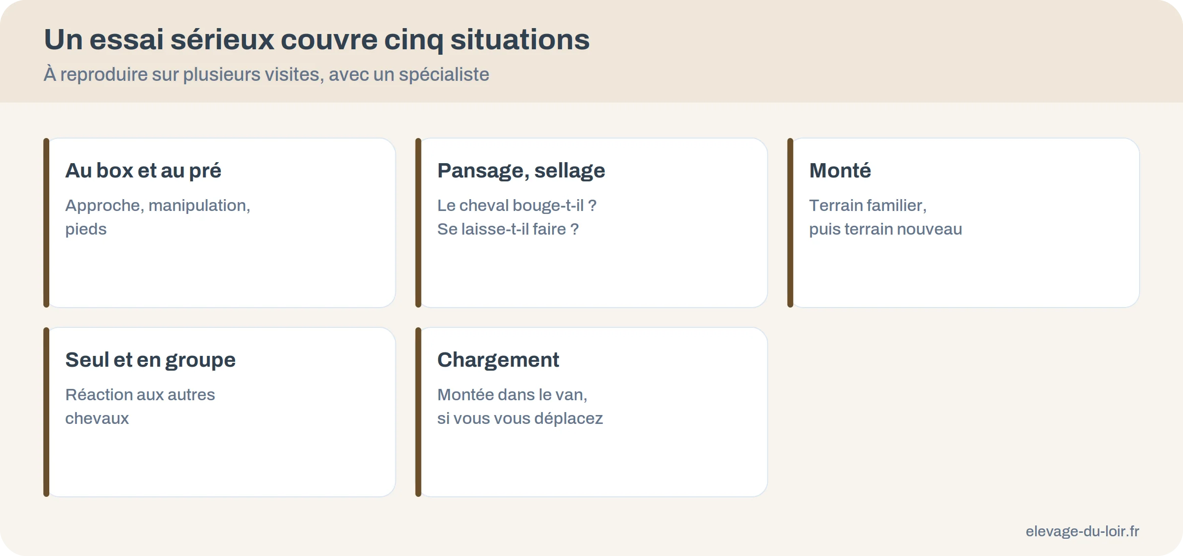 Les cinq situations à tester lors de l'essai d'un cheval : box, pansage, monté, groupe, chargement
